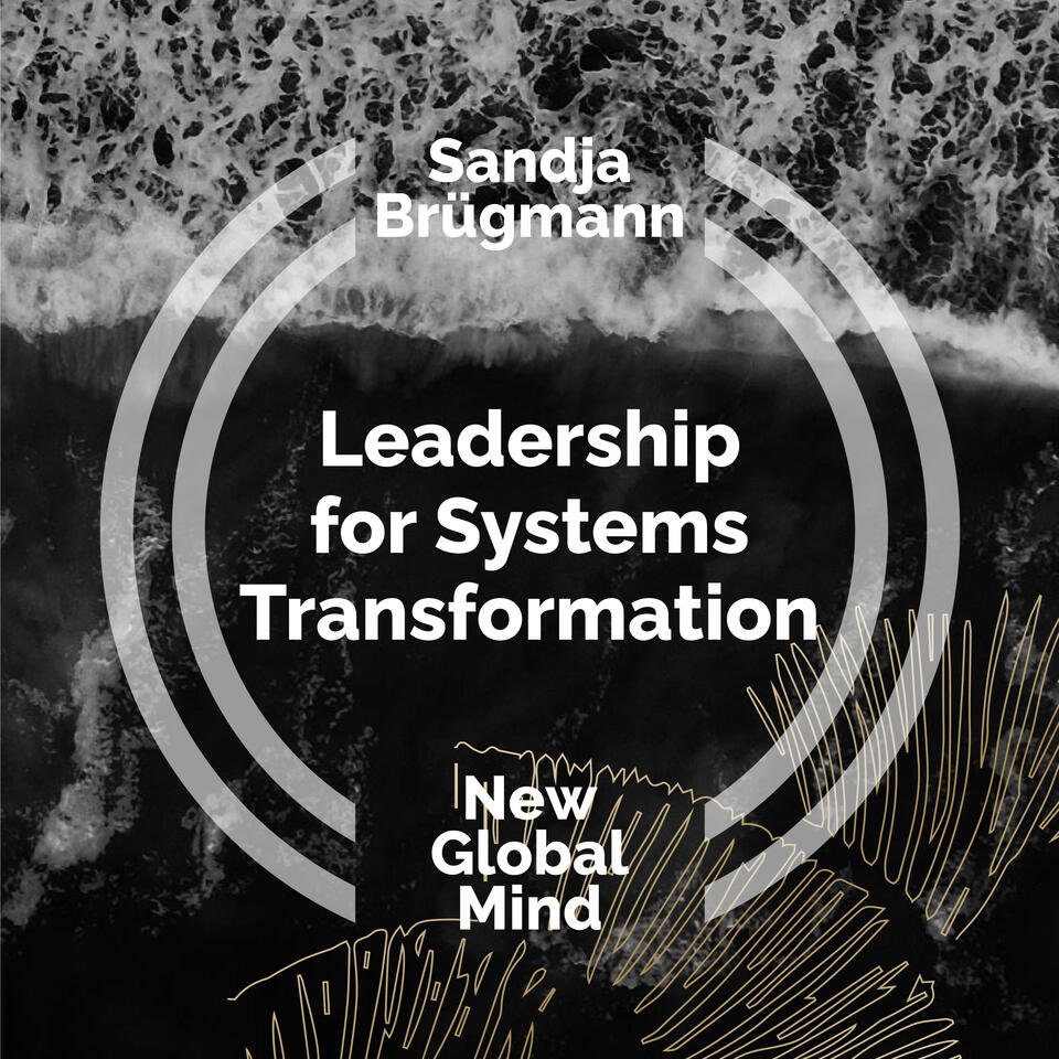 New Global Mind: Leadership for Systems Transformation