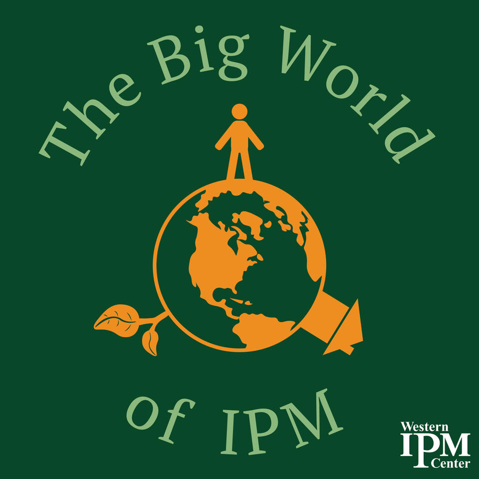 The Big World of IPM