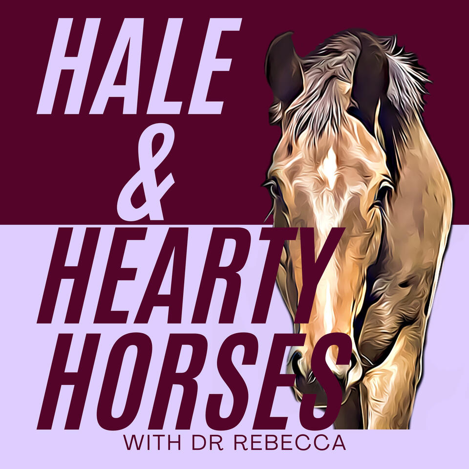 Hale and Hearty Horses