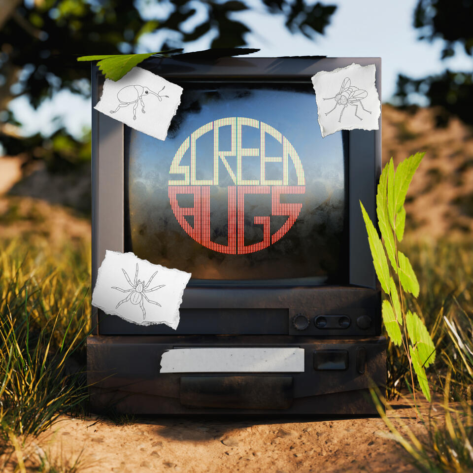 ScreenBugs