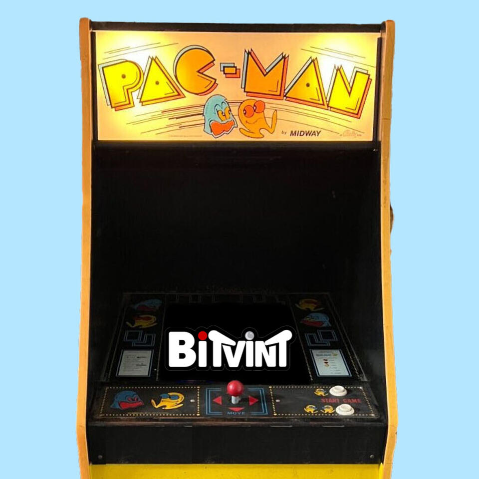 Bitvint Arcade Cast