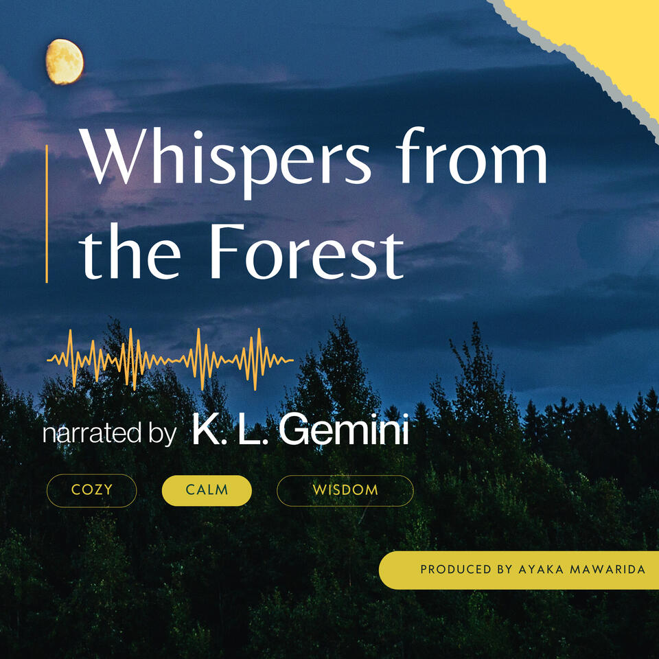 Whispers from the Forest ~ Sleep Stories with Nature and Lo-fi Chill
