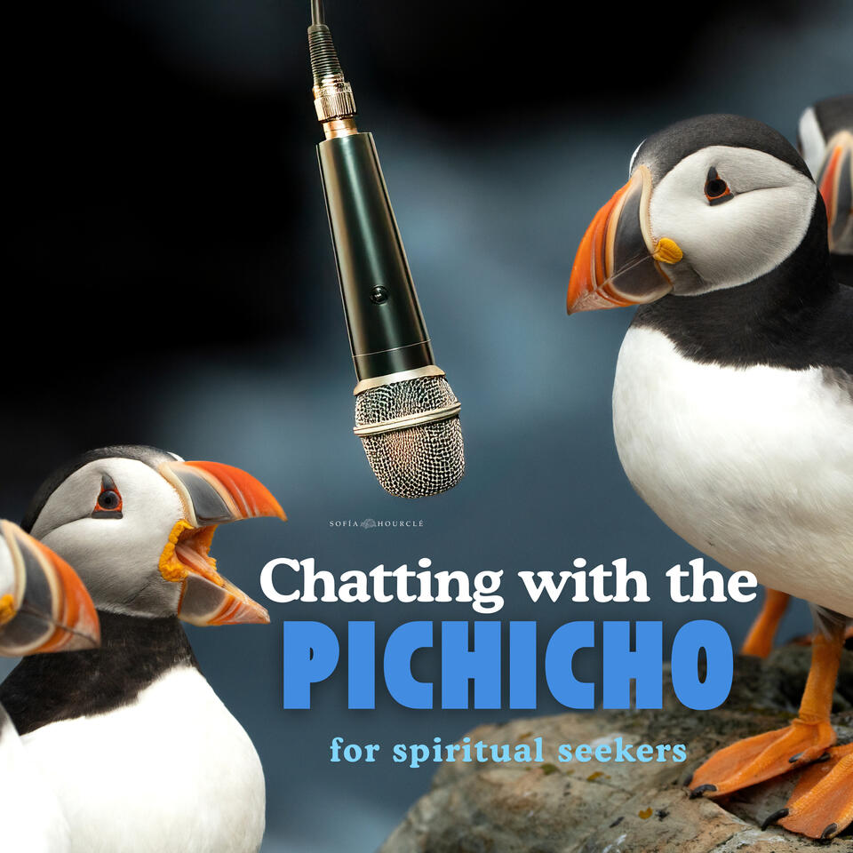 Chatting with the Pichicho