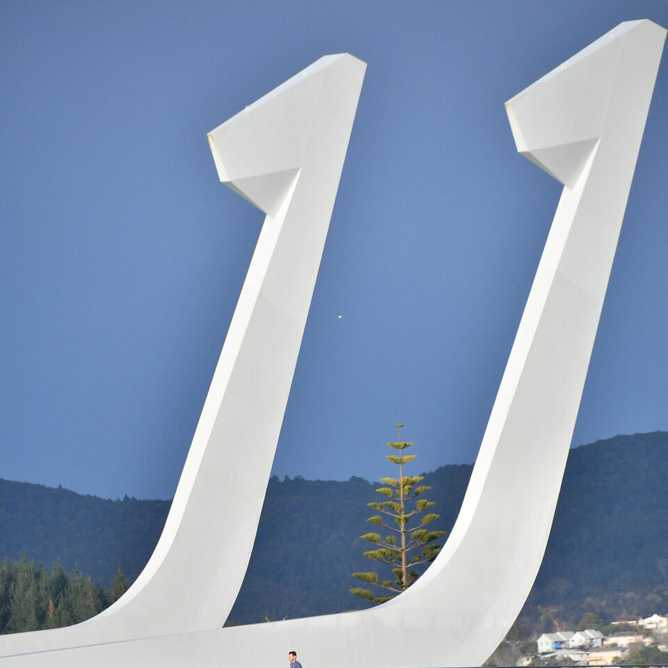 Chafing the Dream NZ