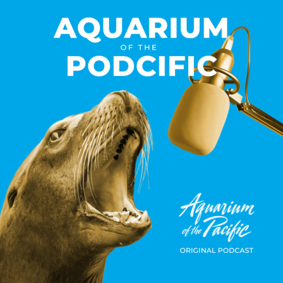Aquarium of the Podcific