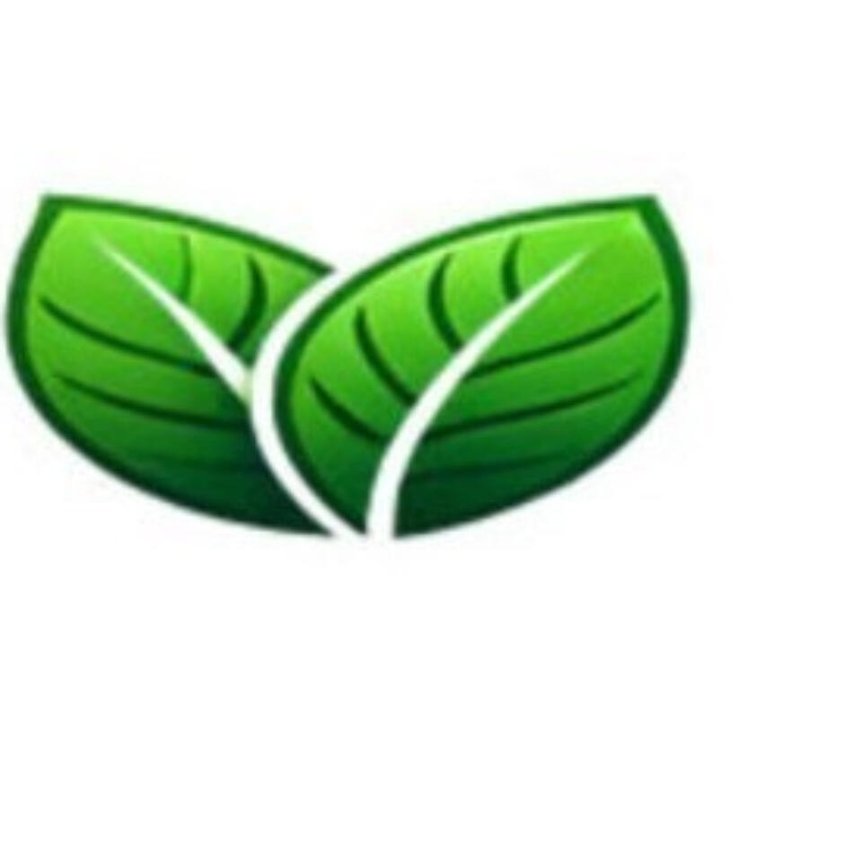 Green Webpage | Cheap Web hosting