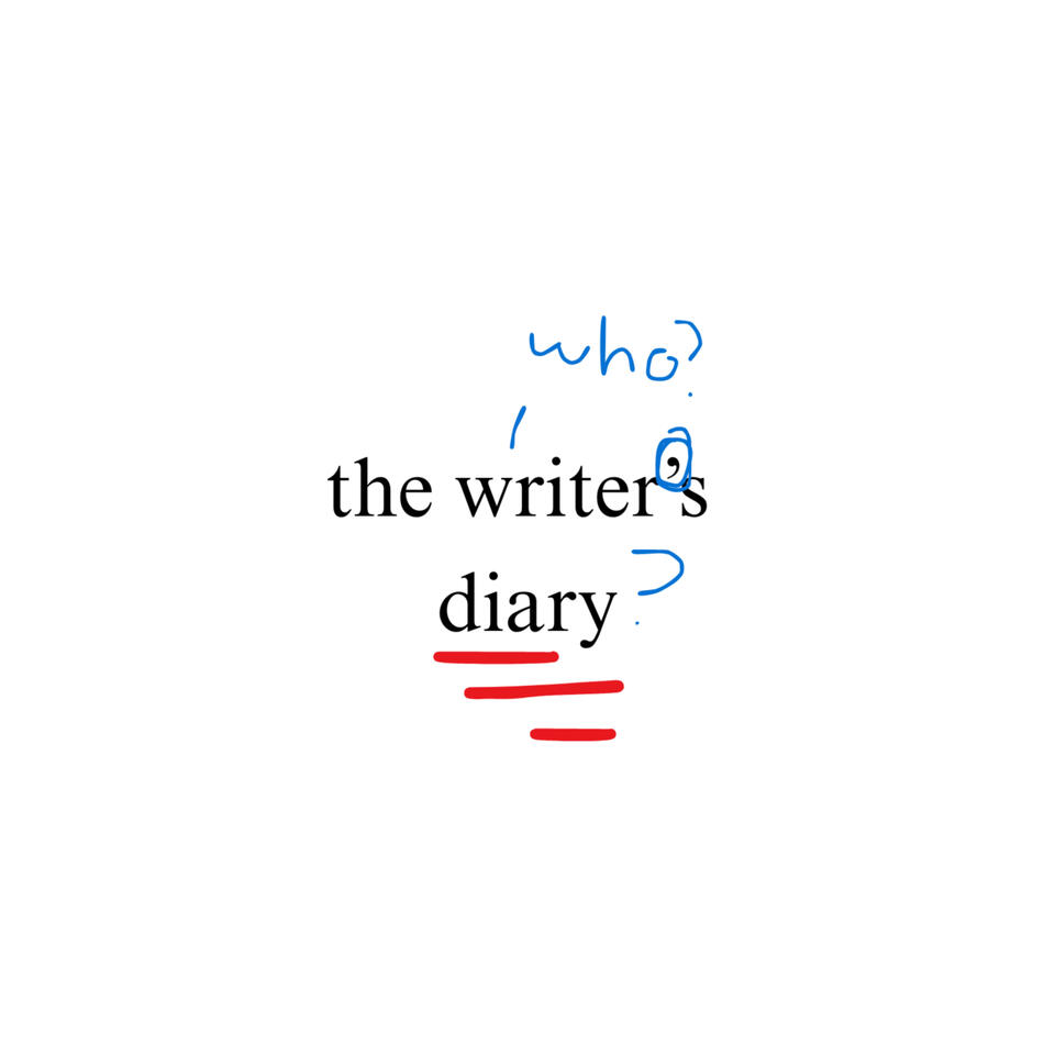 the writers diary