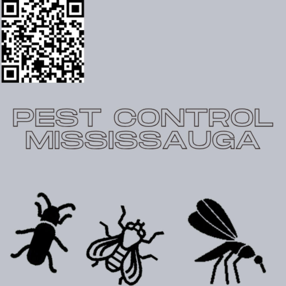 Reliable Pest Control Mississauga