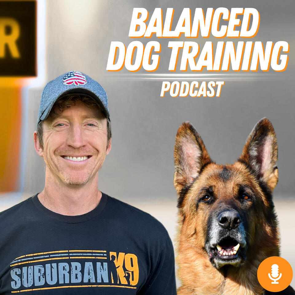 Balanced Dog Training With Suburban K9
