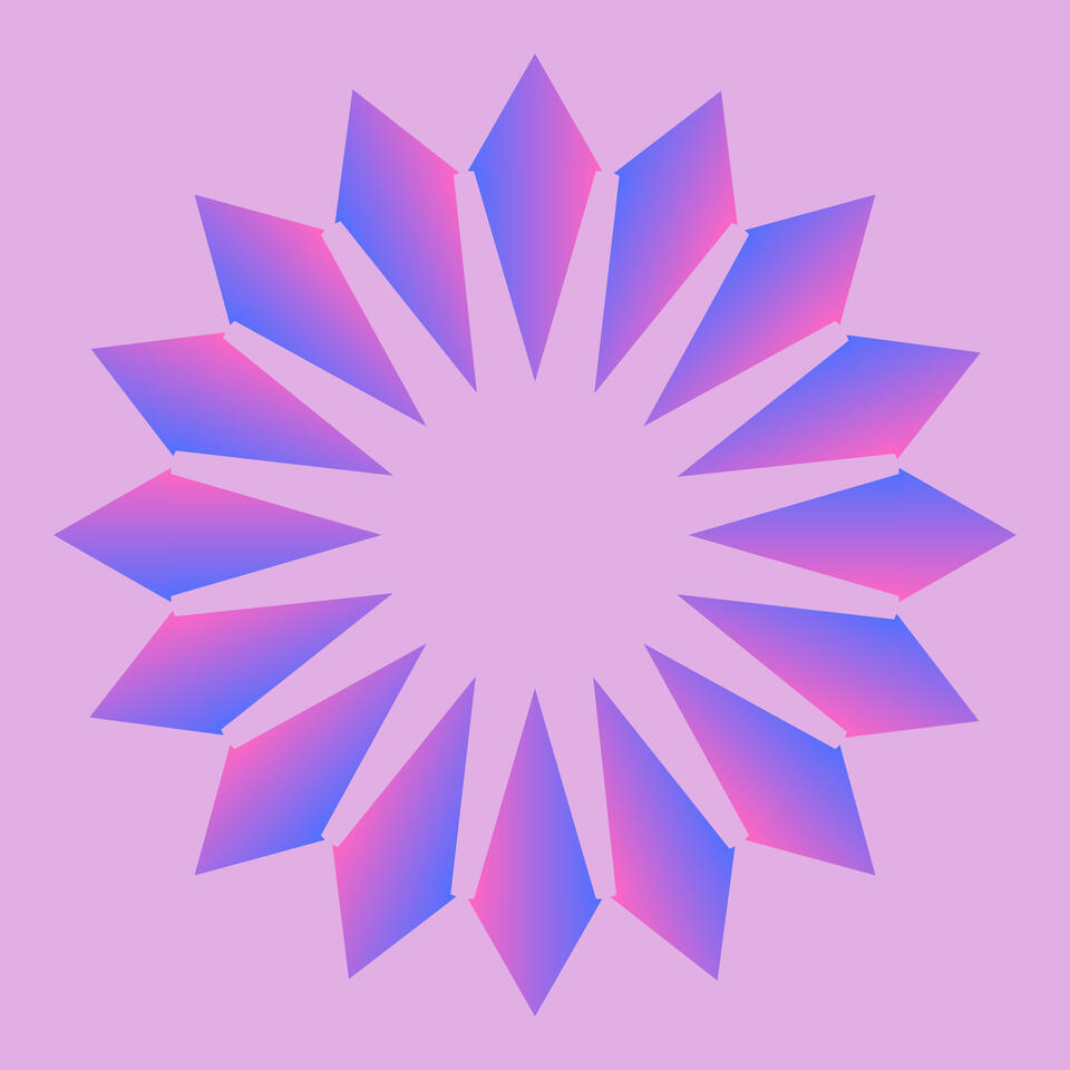 Paths of Practice: Conversations on Journeys into Buddhism