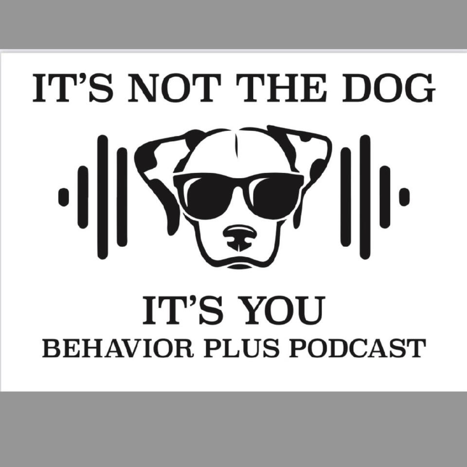 The Behavior Plus Podcast