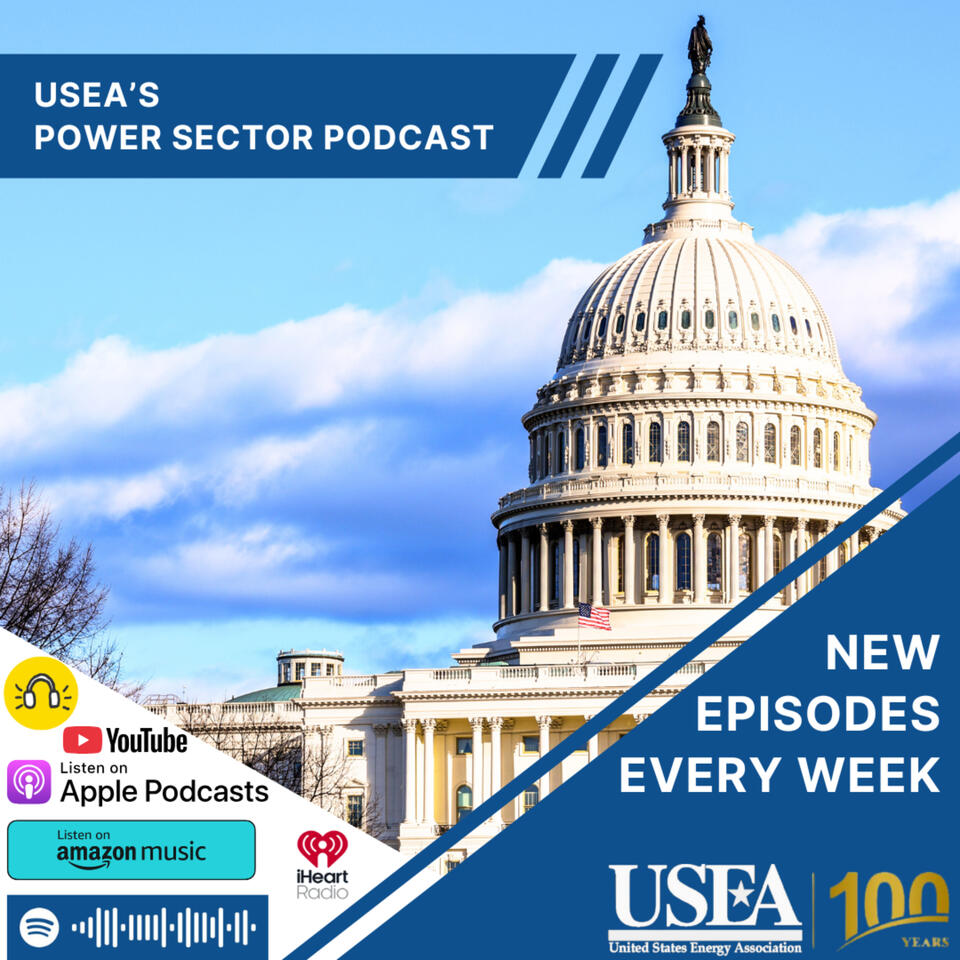 United States Energy Association