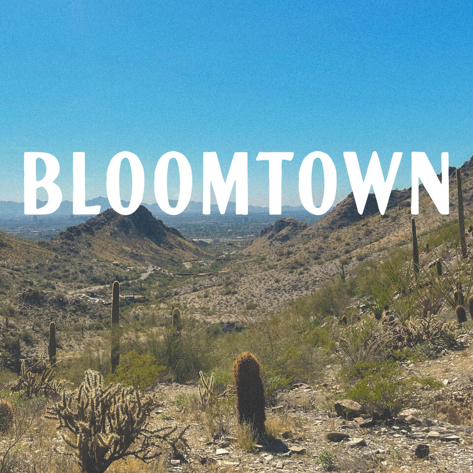 Bloomtown