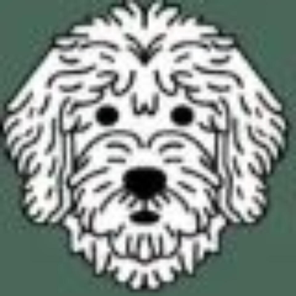 From Fur to Family: Exploring the Characteristics and Care Needs of Mini Goldendoodles
