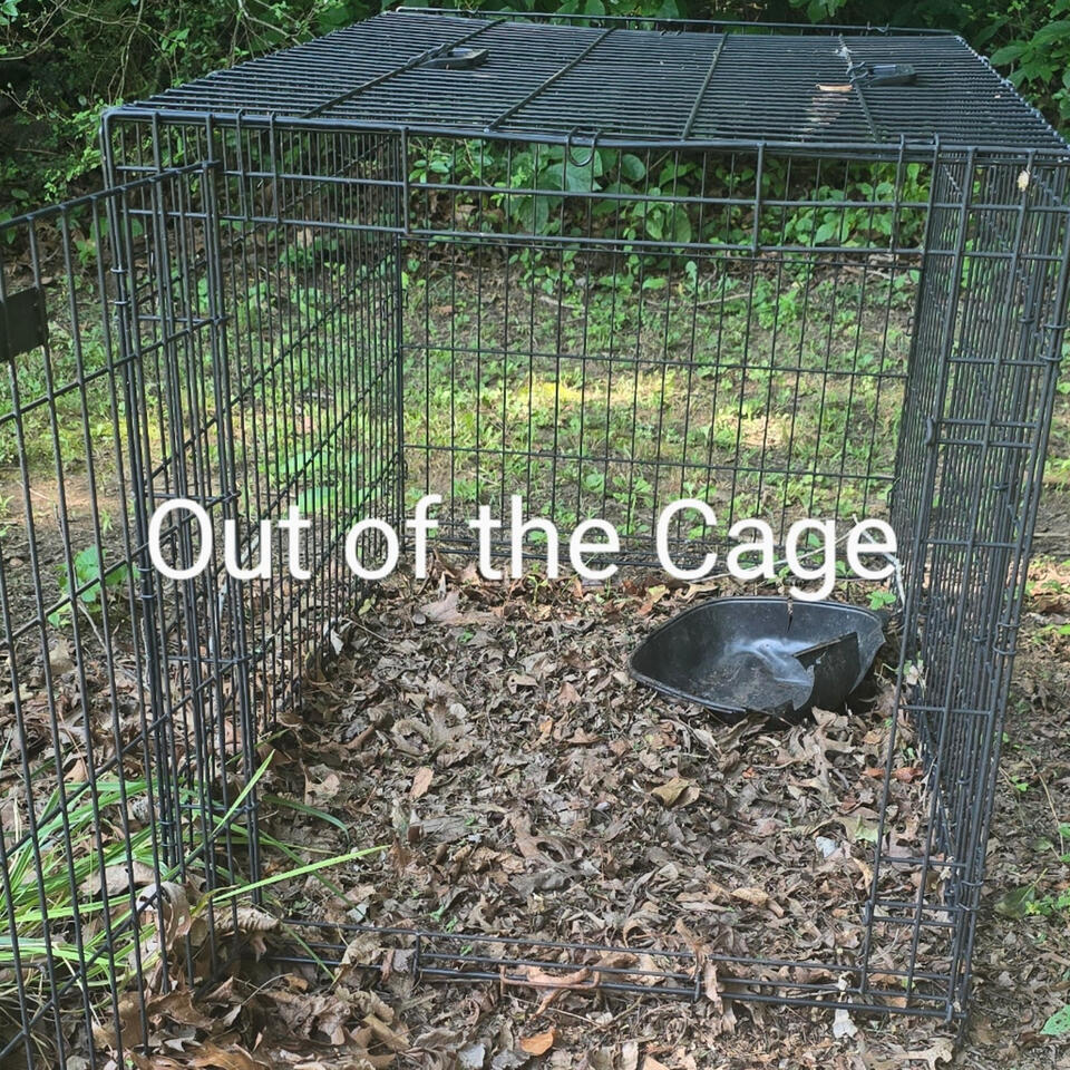Out of the Cage (the album) life stories told through music