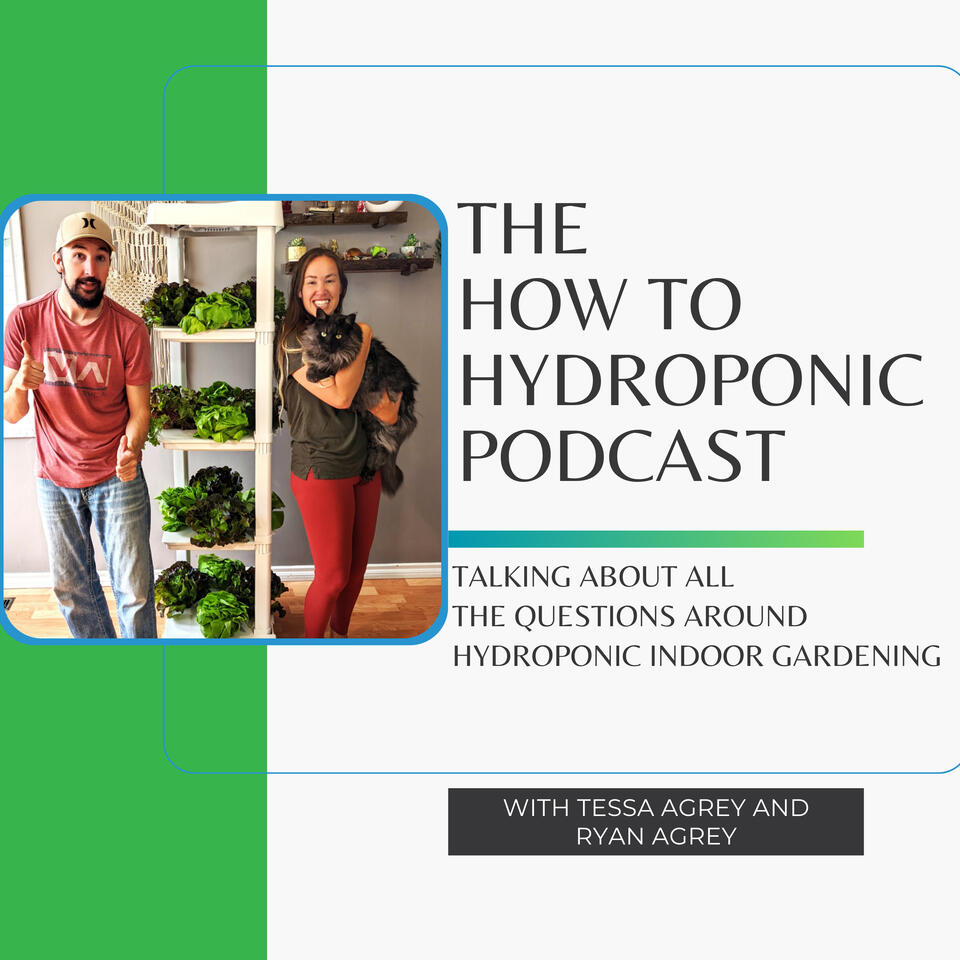 How to Hydroponic