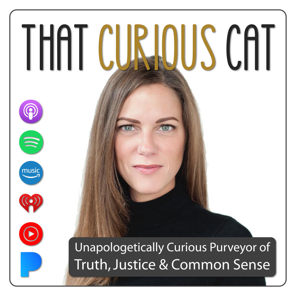 That Curious Cat
