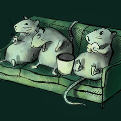 Cinema Rats