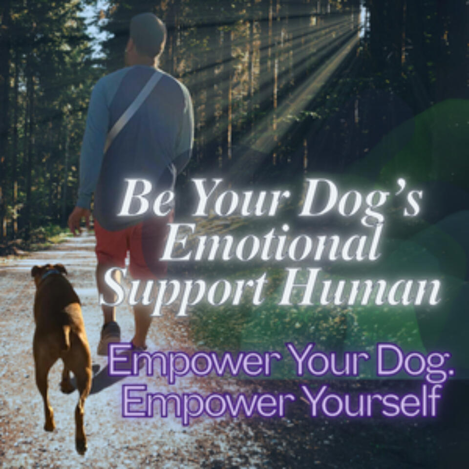 Be your Dog's Emotional Support Human