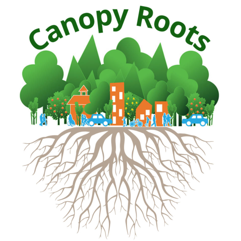Canopy Roots