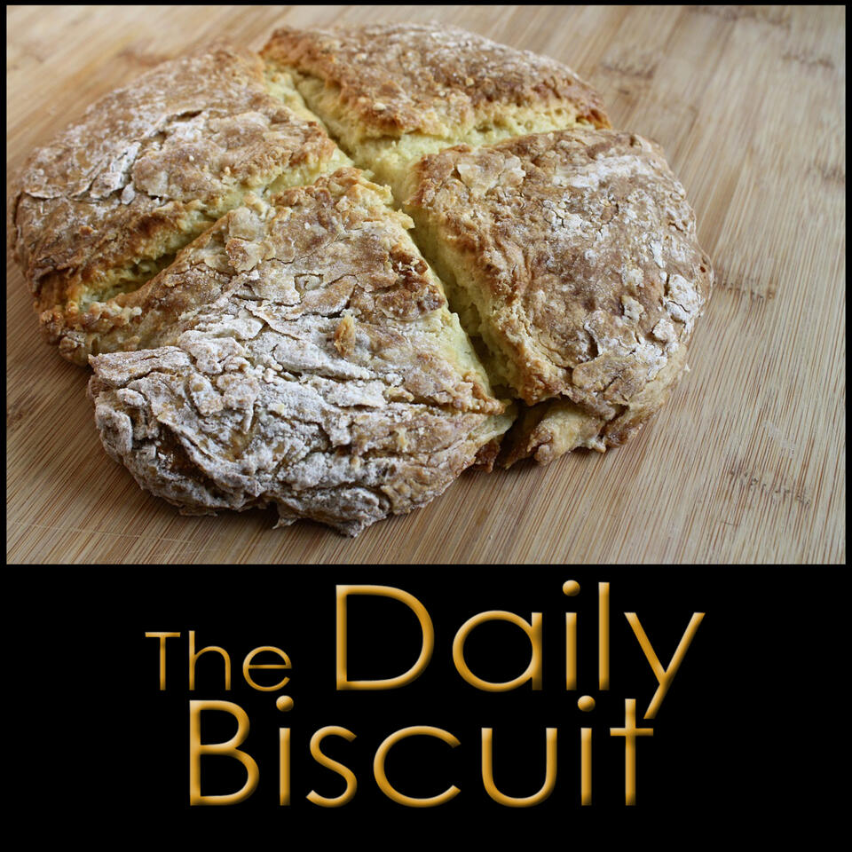 The Daily Biscuit