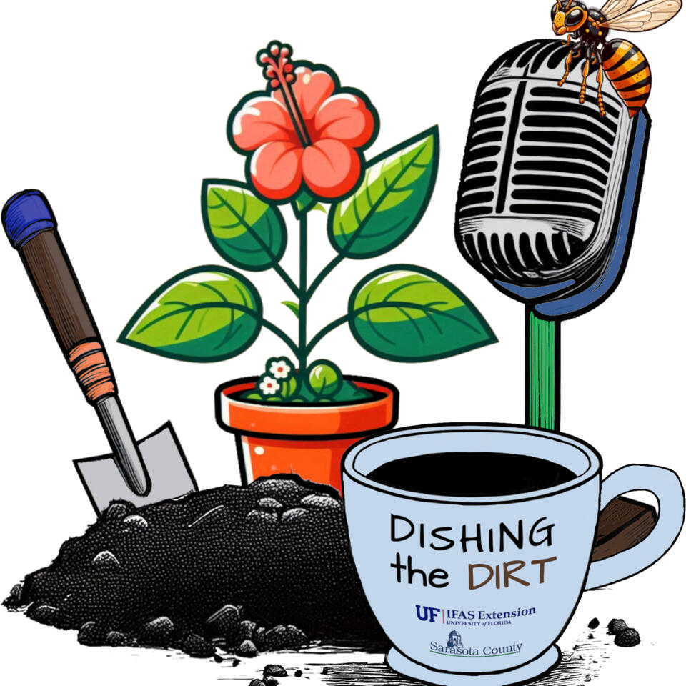 Dishing the Dirt