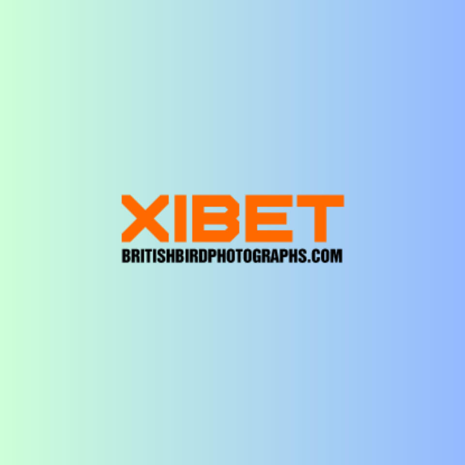 Xibet