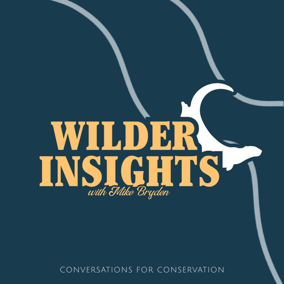 Wilder Insights with Mike Bryden