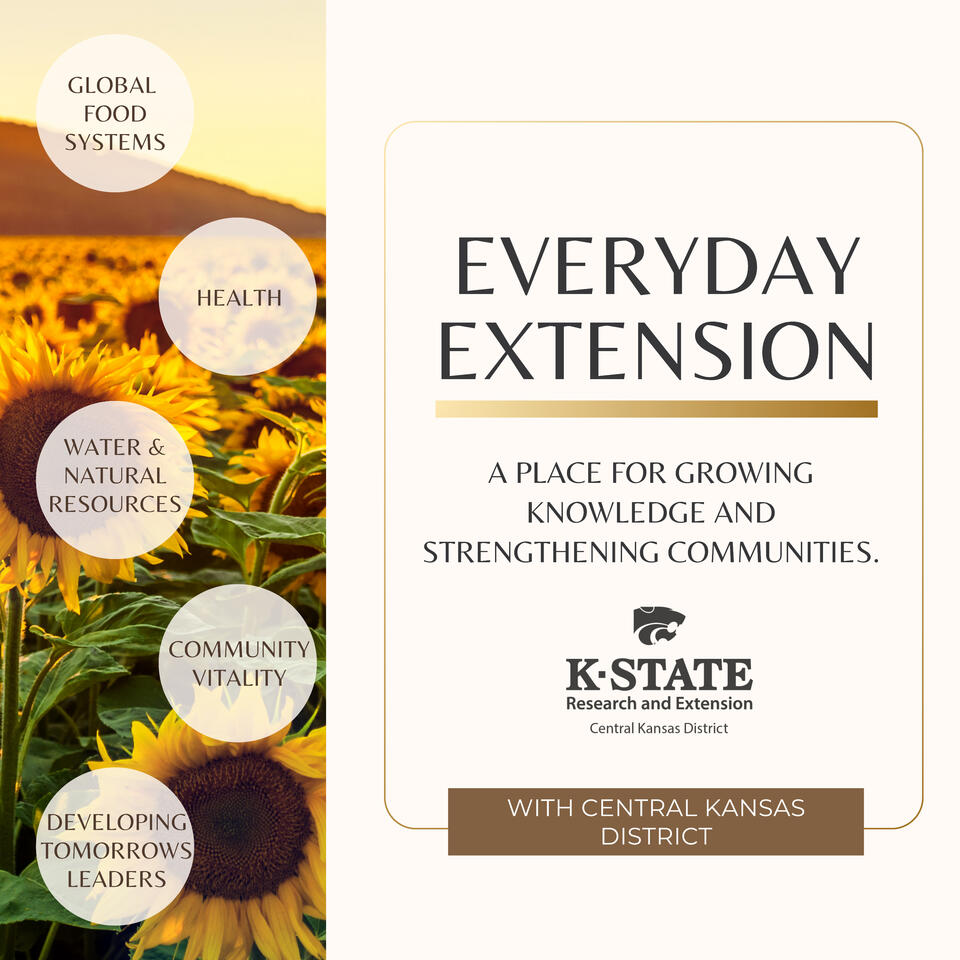 Everyday Extension