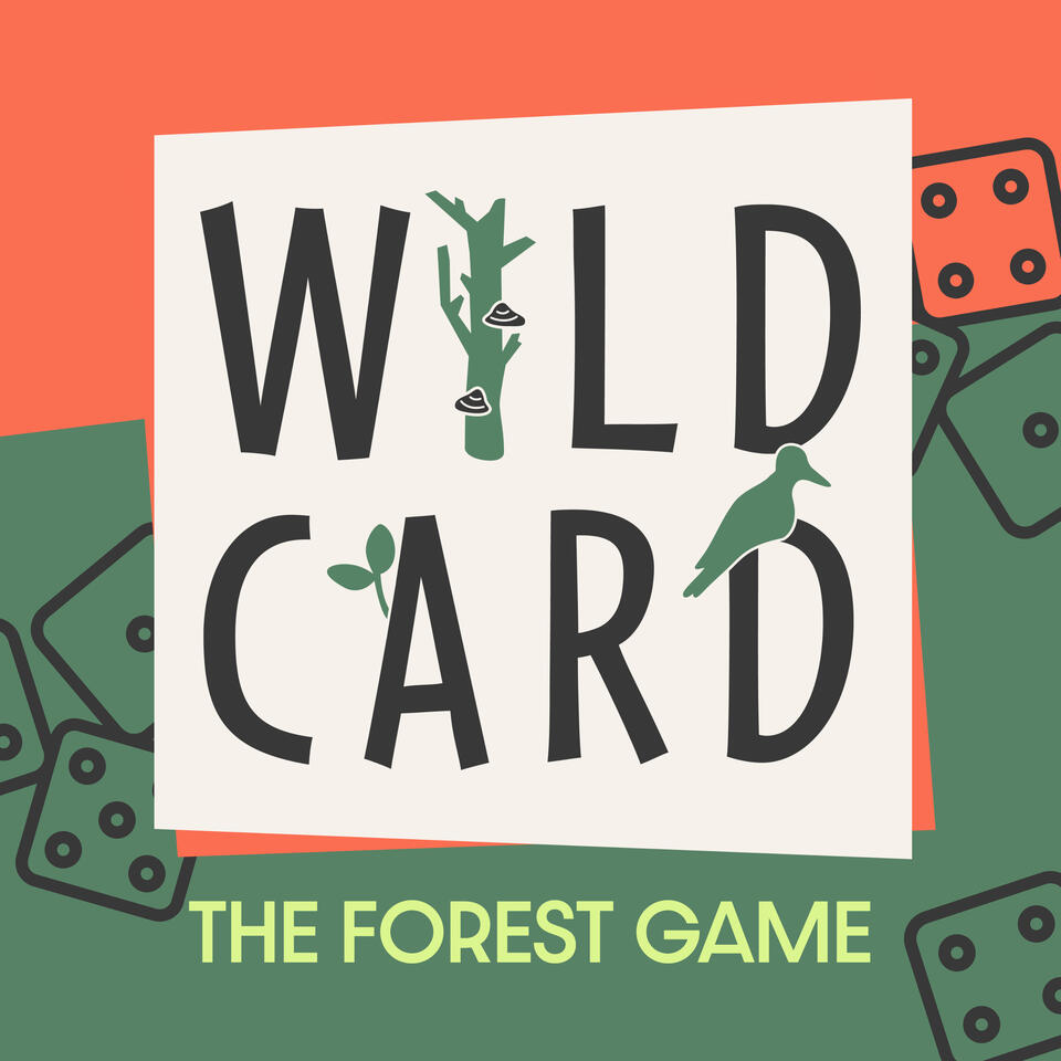 Wildcard: The Forest Game - A scientific adventure across Europe's hidden forests 