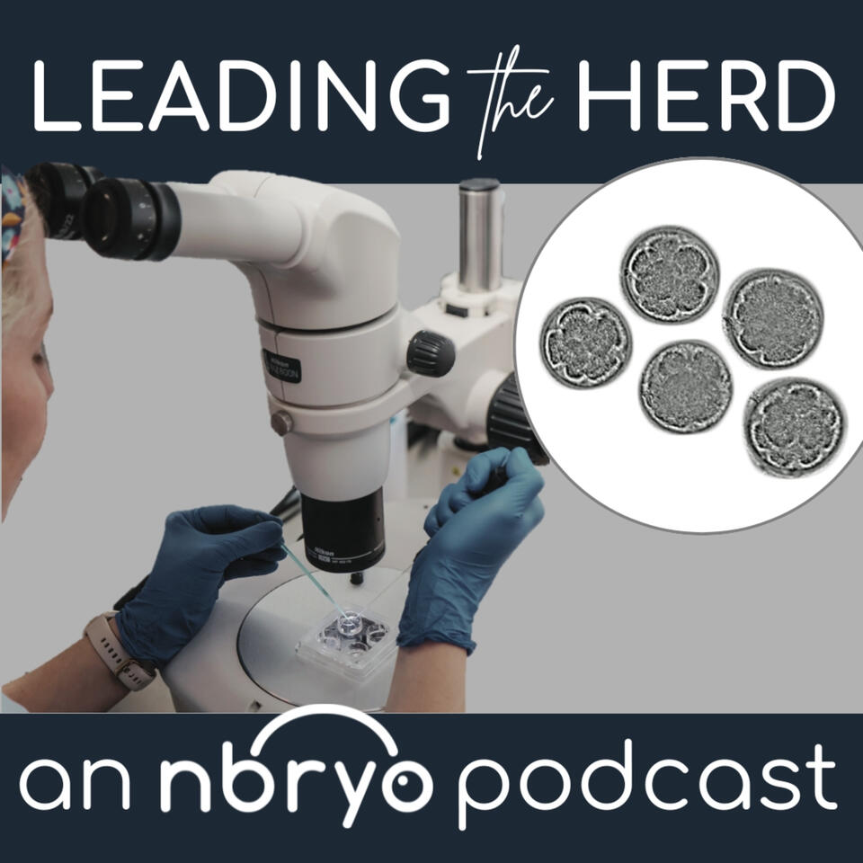 Leading the Herd - Innovations in Bovine Breeding