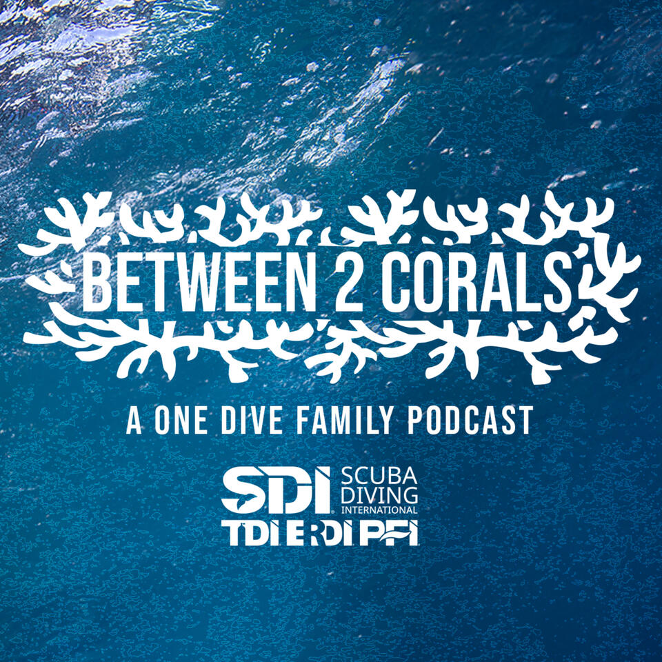 Between 2 Corals - A One Dive Family Podcast