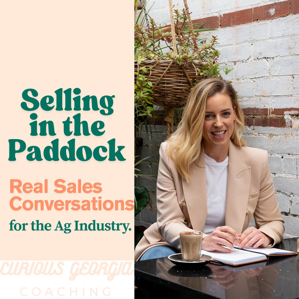 Selling in the Paddock