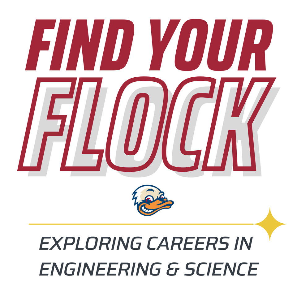 Find Your Flock