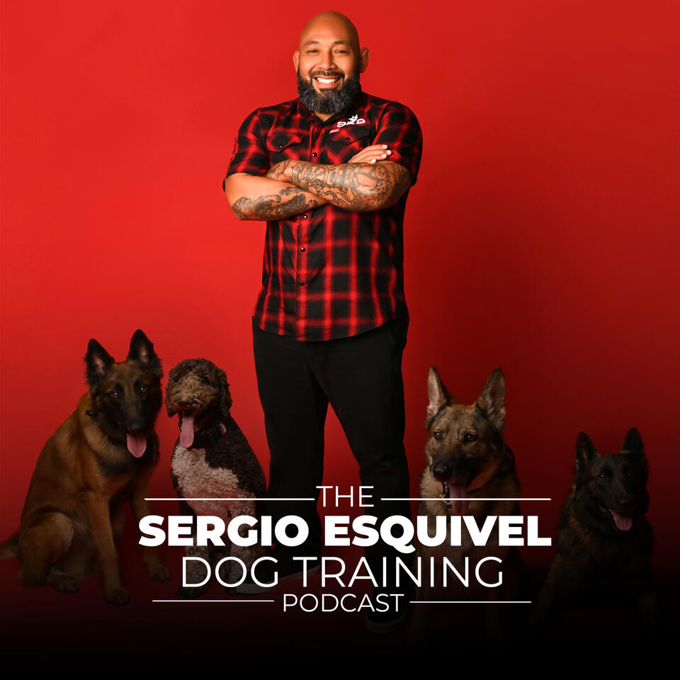 Sergio Esquivel Dog Training Podcast