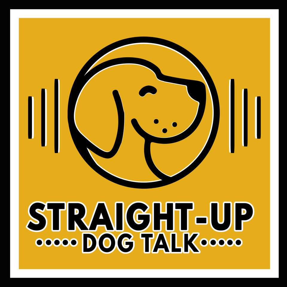 Straight Up Dog Talk: Support for Reactivity, Dog Food, Barking and Burnout.