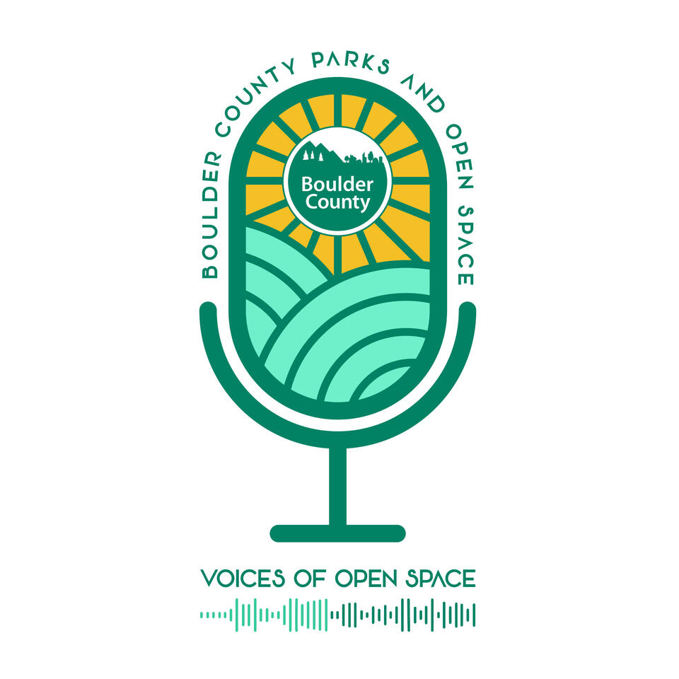 Voices of Open Space