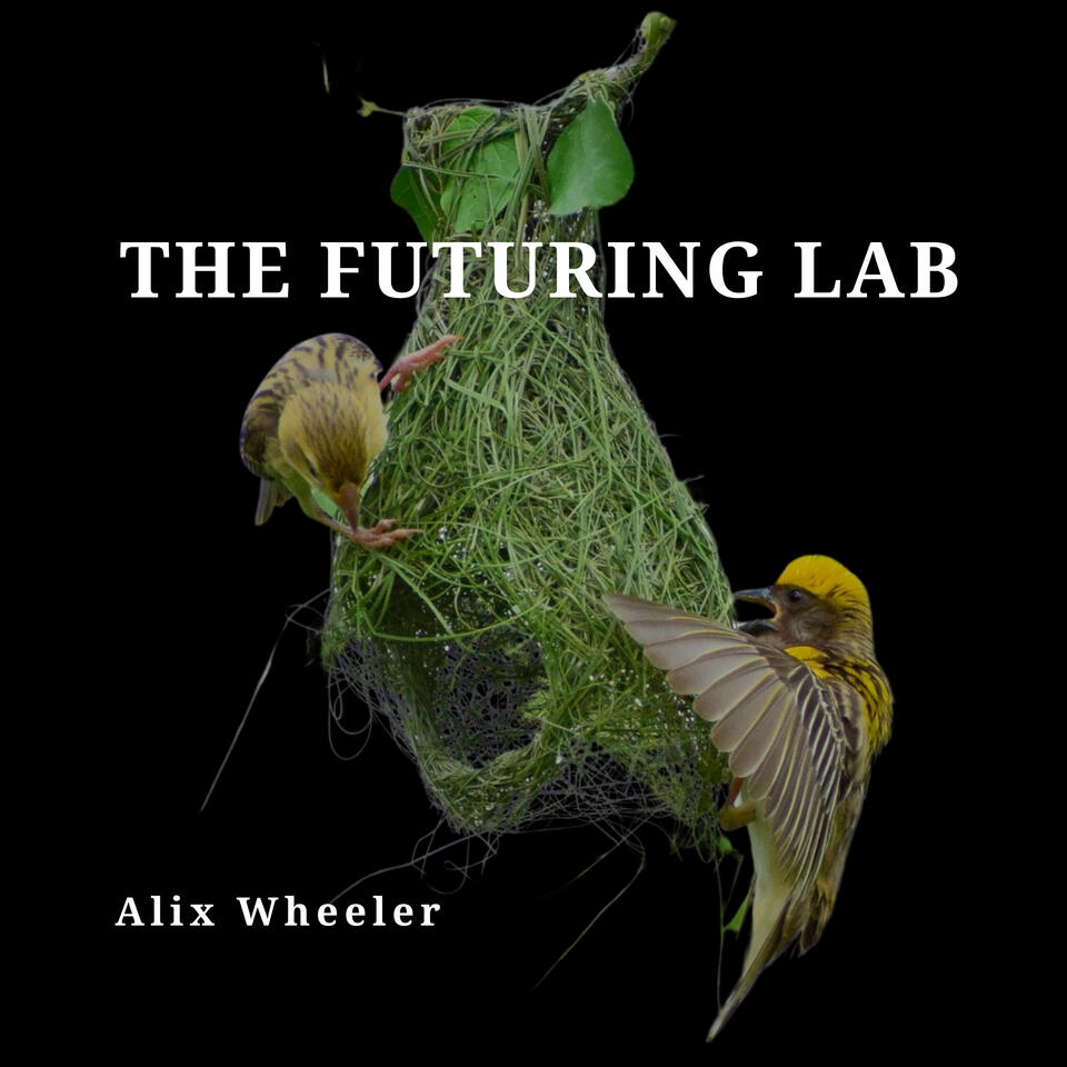 The Futuring Lab