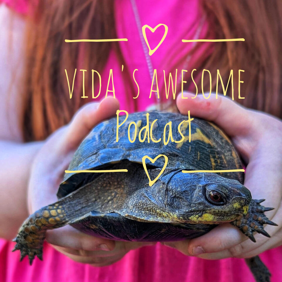 Vida's Awesome Podcast