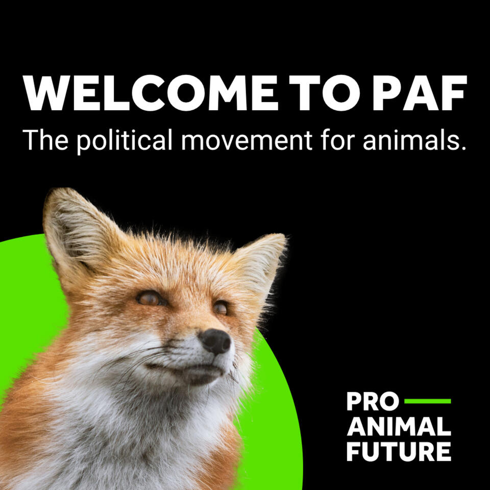 Welcome to PAF