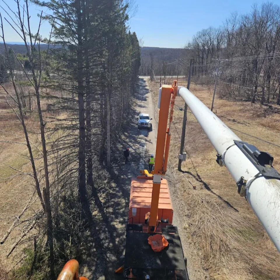AC-PRO Tree Service, LLC