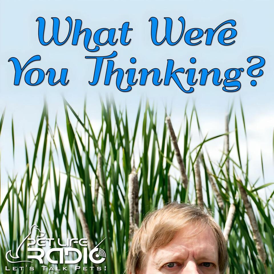 What Were You Thinking - Pet Life Radio Original
