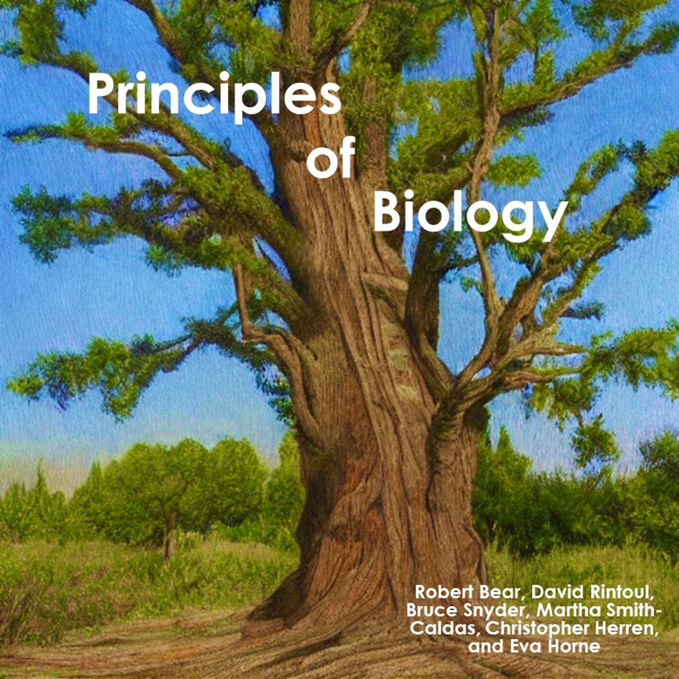 Principles Of Biology | IHeart