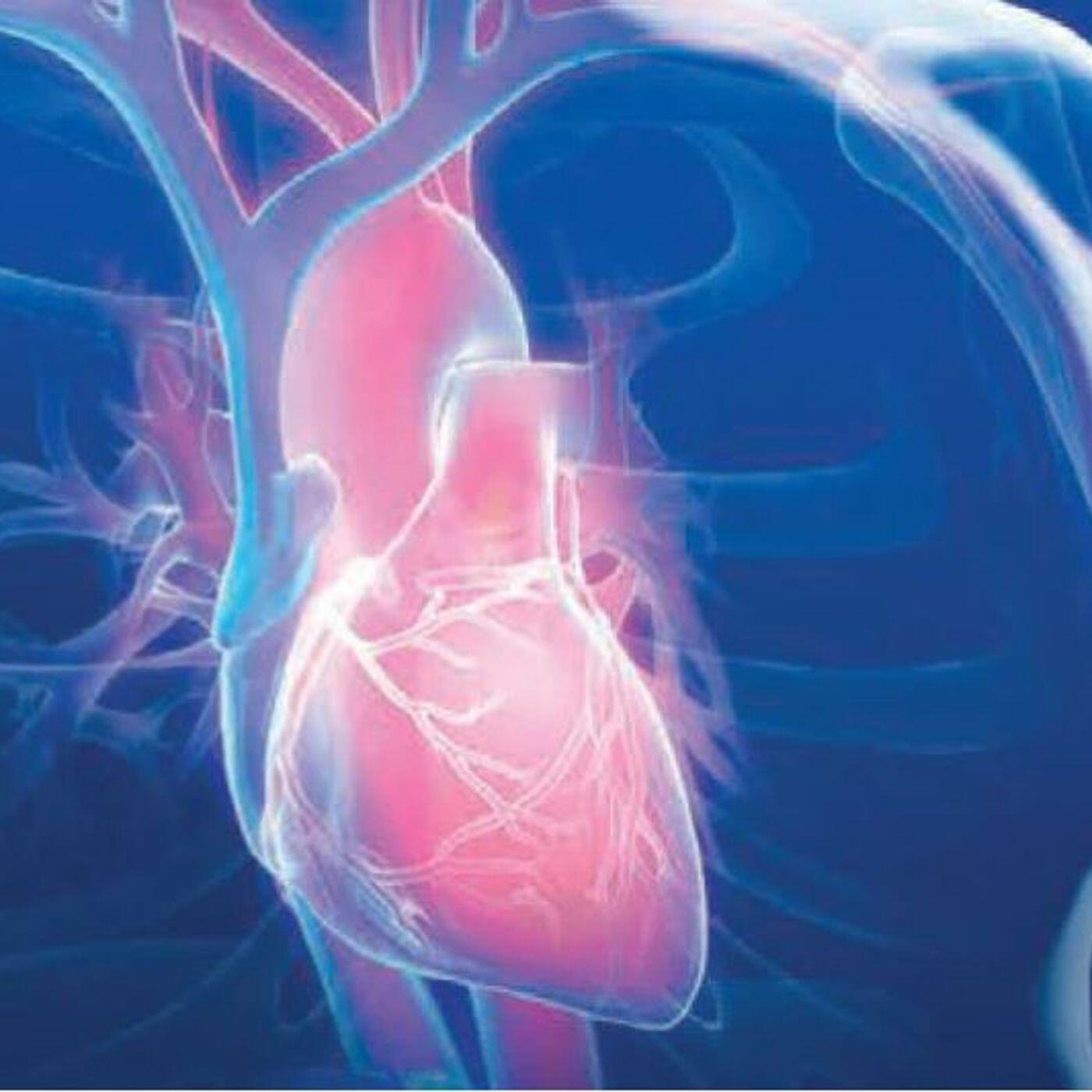 Сердечно сосудистая недостаточность картинки. Сердечно-сосудистые заболевания. Сердце анатомия. Сердечно сосудистые болезни. Сердечный иной.