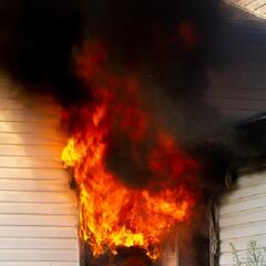 Dog saves disabled owner's life in house fire (Smile File) - Steve & Gina in the Morning Podcast