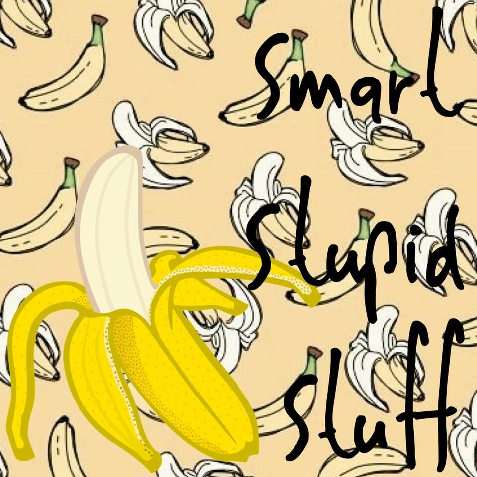 Smart Stupid Stuff