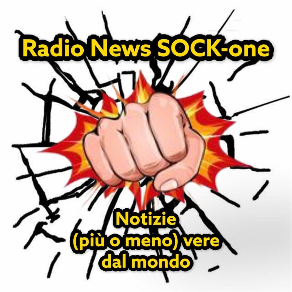 RADIO NEWS SOCK-ONE