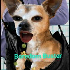 Boredom Buster