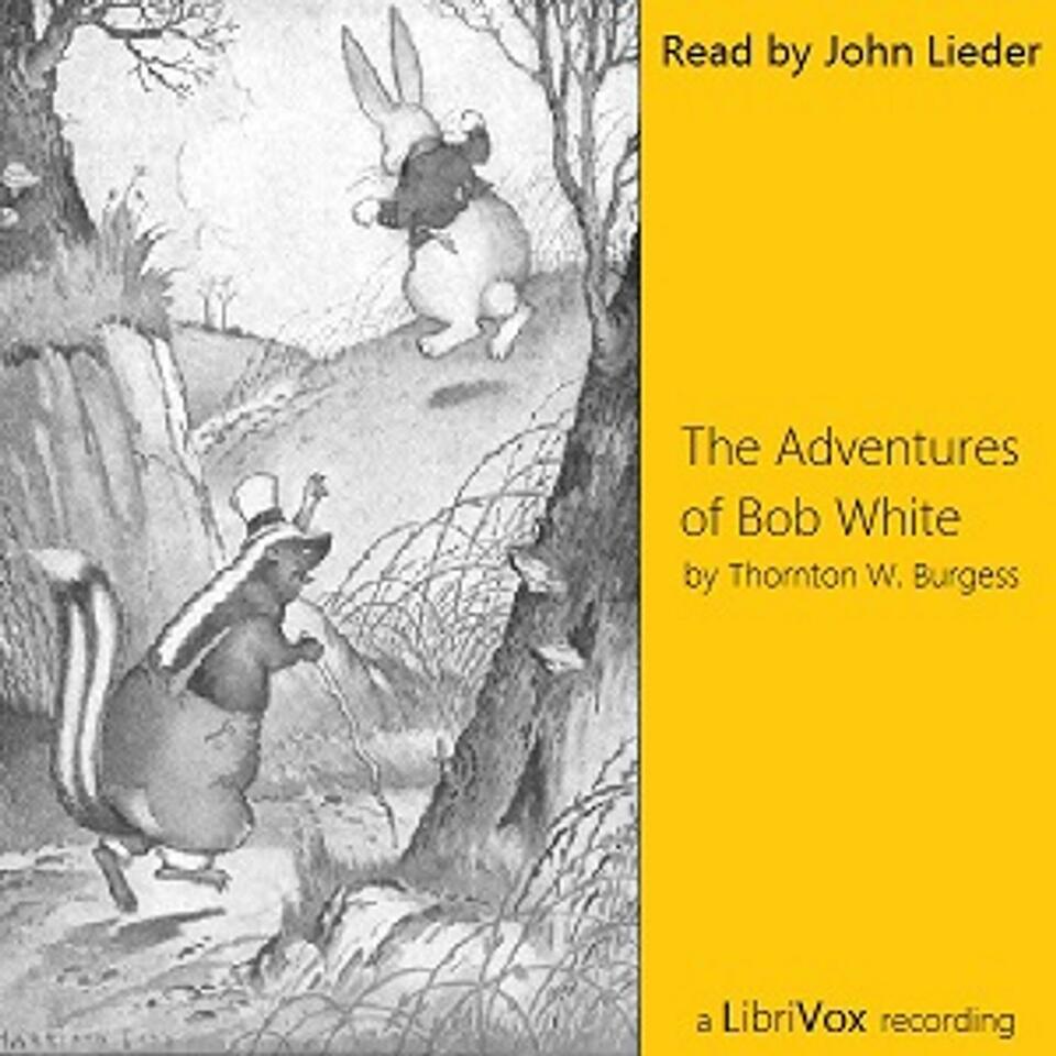 Adventures of Bob White, The by Thornton W. Burgess (1874 - 1965)