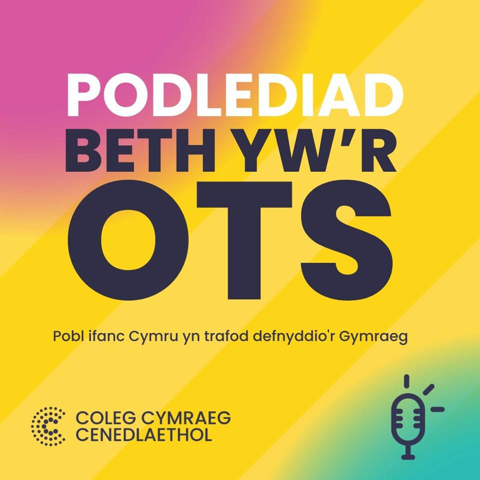 Beth Yw'r Ots